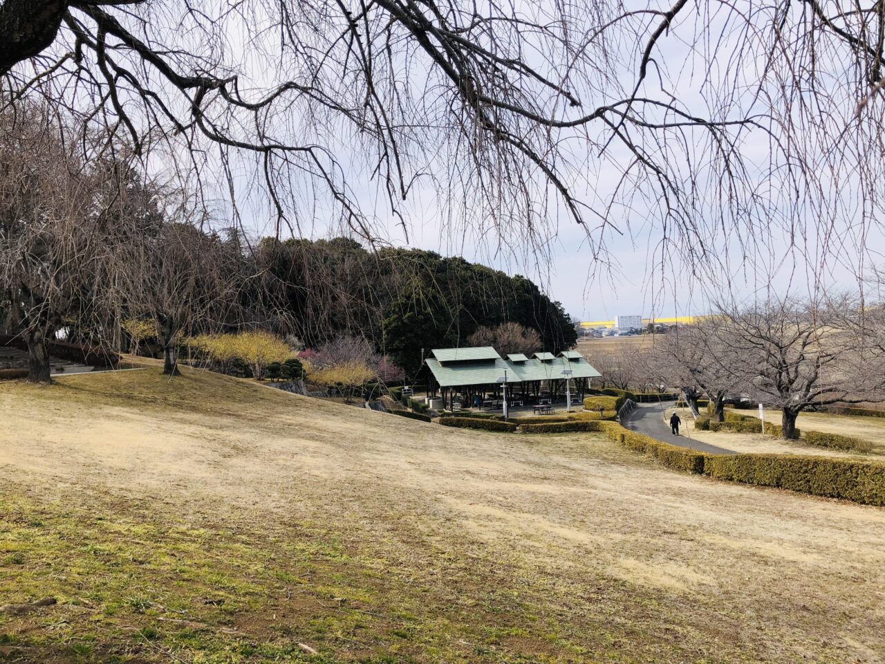 宮山ふるさとふれあい公園