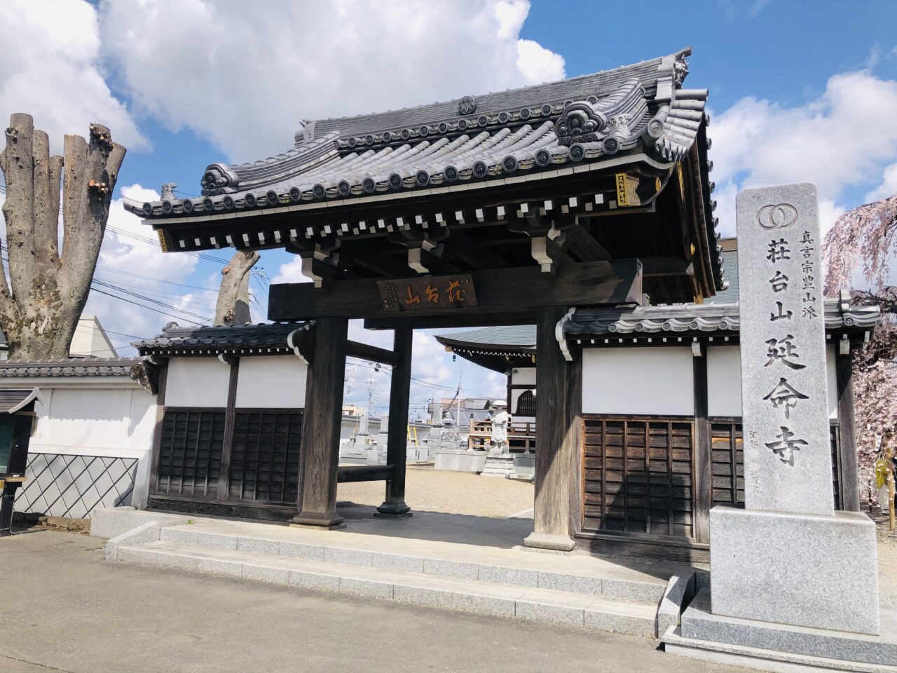 延命寺枝垂れ桜